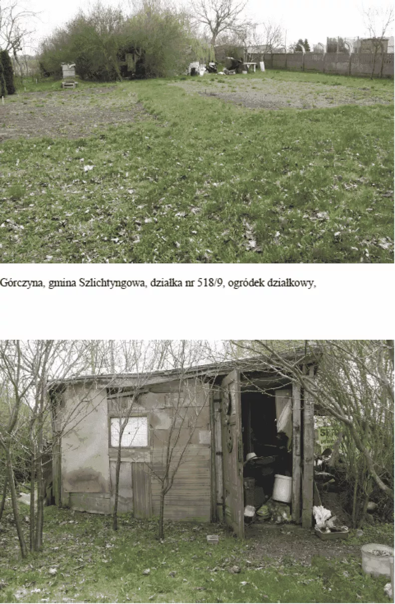 Działka 24 207,00 m², oferta nr , TTT-00001822, Górczyna