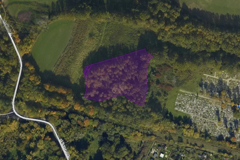 Działka 10 348,00 m², oferta nr , 4/100/01/2020, Zabrze, Grzybowice, Grzybowice, Składowa