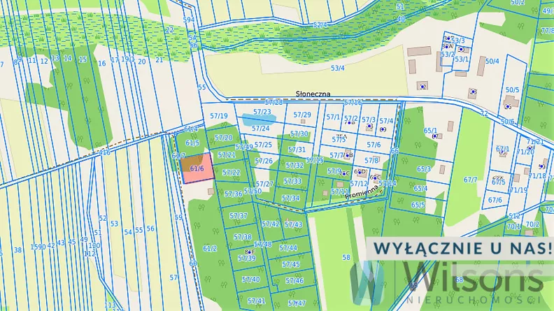 Działka 1 252,00 m², oferta nr , WIL701190, Ludwinów