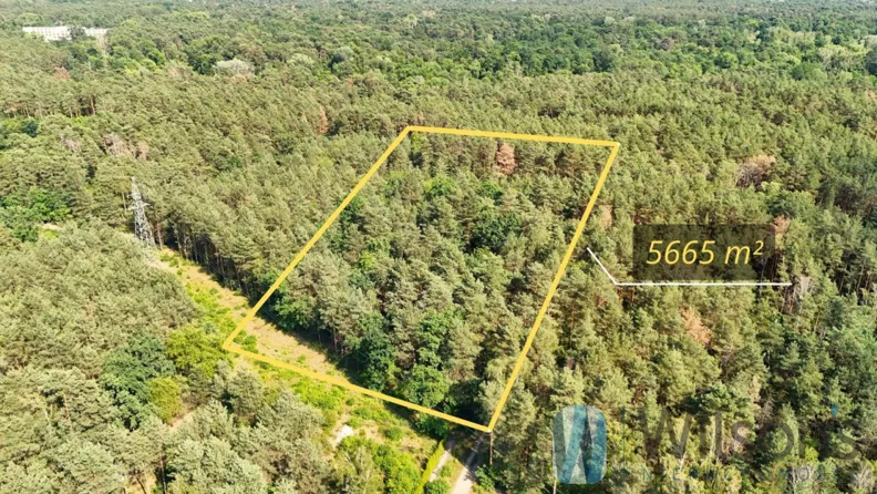 Działka 5 665,00 m², oferta nr , WIL221075, Józefów, Marii Budziszewskiej