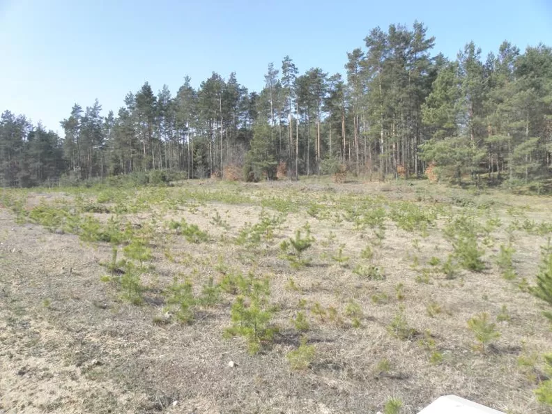 Działka 684,00 m², oferta nr , IF03308, Sitno, Karlikowska