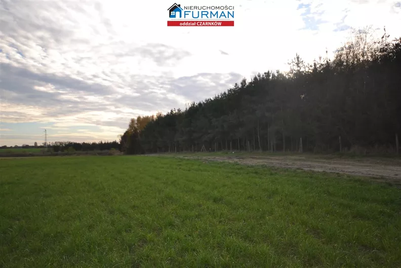 Działka 33 856,00 m², oferta nr , FCZ-GS-192955-1, Lubasz