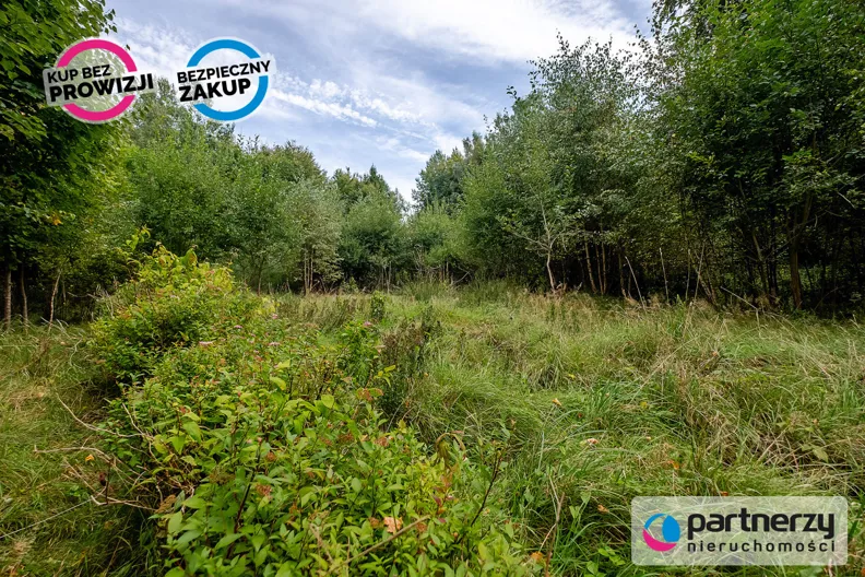 Działka 10 599,00 m², oferta nr , PAN279466, Łężyce, Dębowa