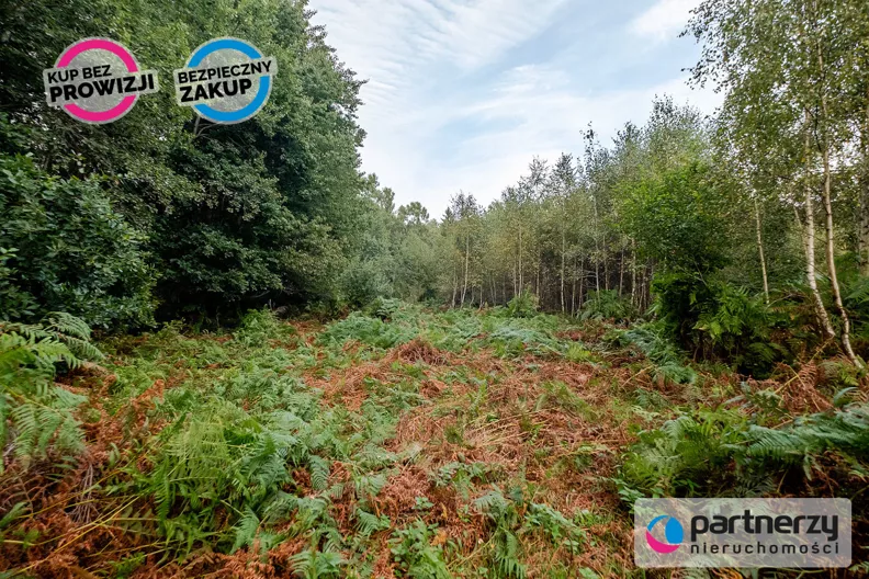 Działka 1 500,00 m², oferta nr , PAN637651, Domatowo