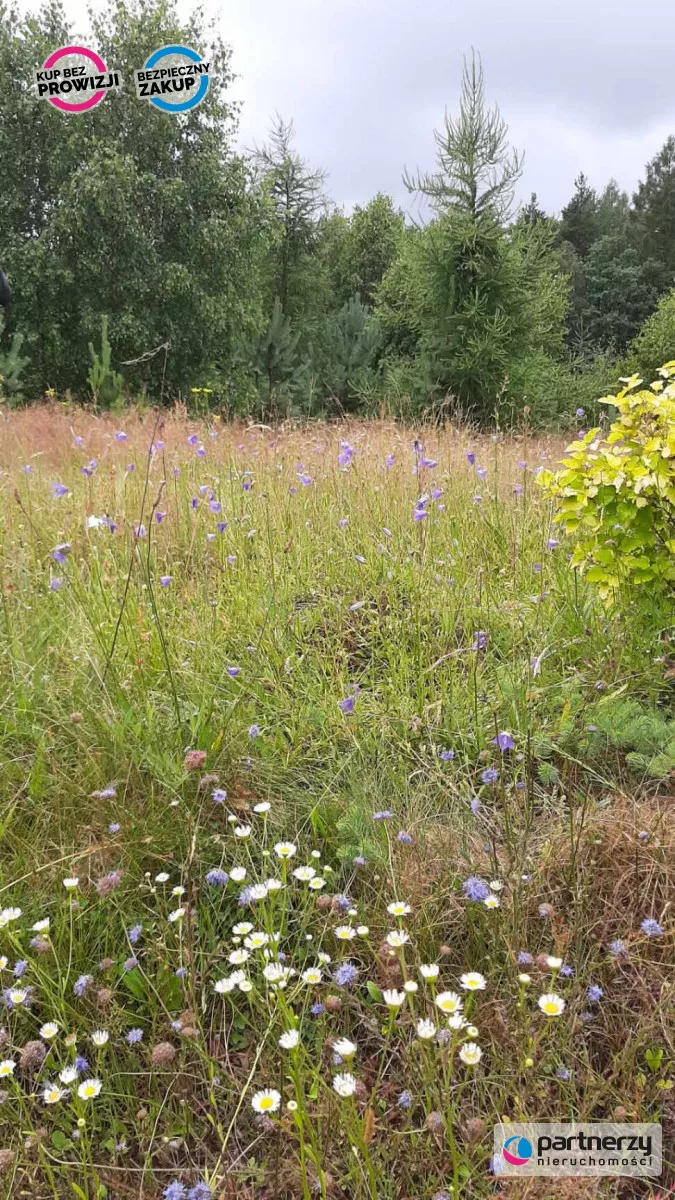 Działka 1 400,00 m², oferta nr , PAN822974, Hopowo