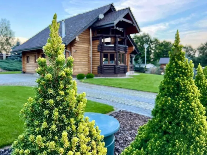Dom i rezydencja 180,00 m², oferta nr , 9830/3186/ODS, Żagań
