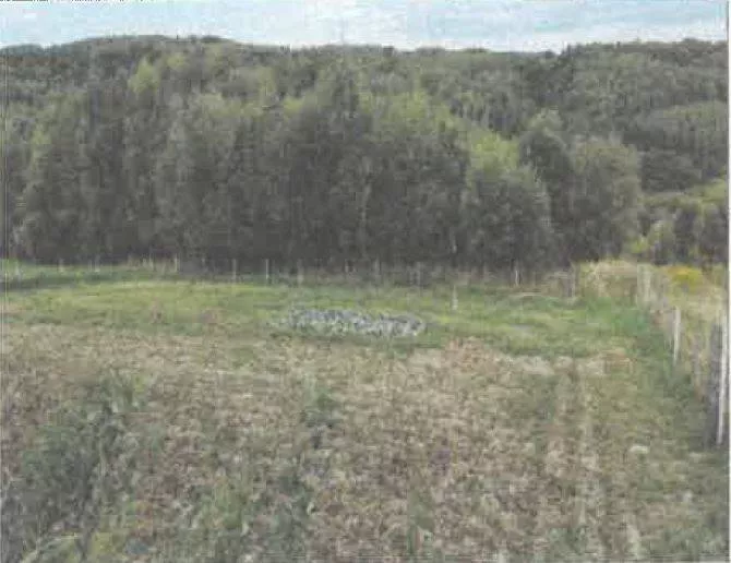 Działka 5 600,00 m², oferta nr , 46046/3186/OGS, Barycz