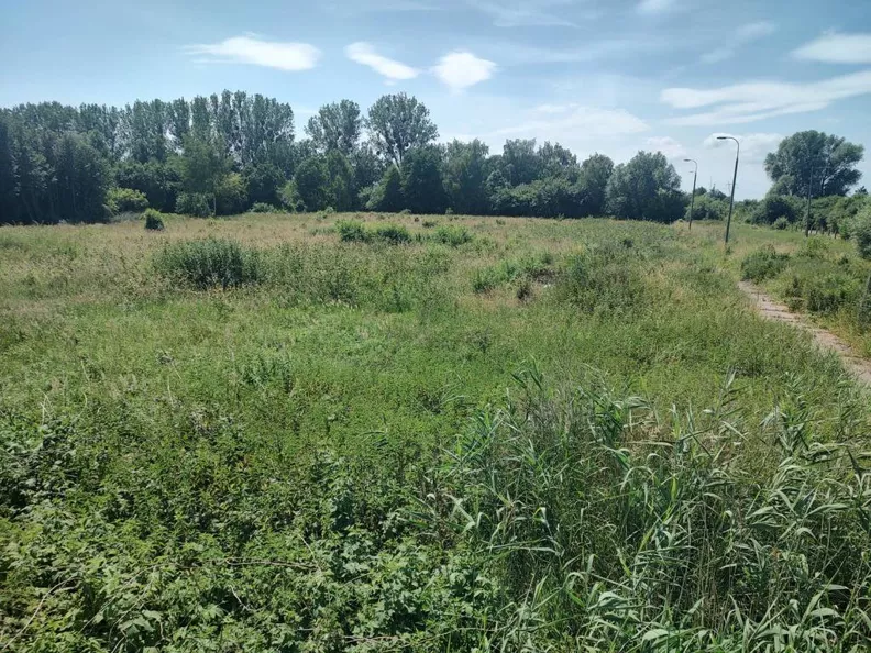 Działka 9 950,00 m², oferta nr , 45209/3186/OGS, Gronowo Górne, Berylowa