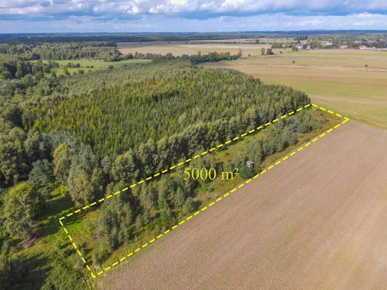 Działka 5 000,00 m², oferta nr , 45856/3186/OGS, Białogórzyno