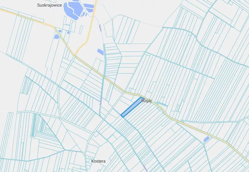 Działka 20 000,00 m², oferta nr , 46098/3186/OGS, Bugaj