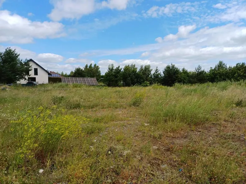 Działka 2 327,00 m², oferta nr , 45880/3186/OGS, Trzcińsk, Dębowa