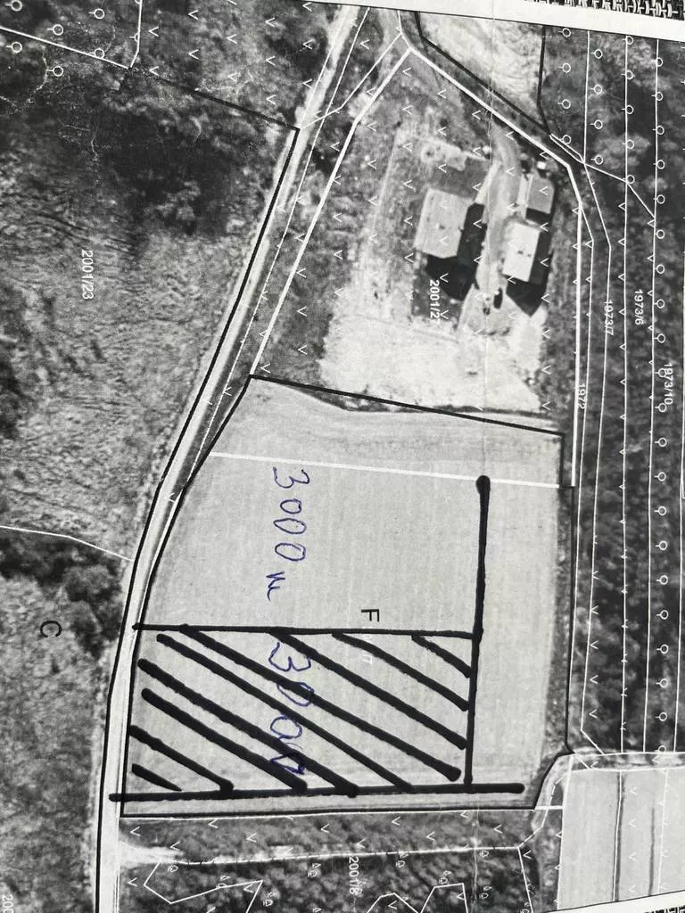 Działka 3 000,00 m², oferta nr , 45528/3186/OGS, Bachowice, ks. Gołby