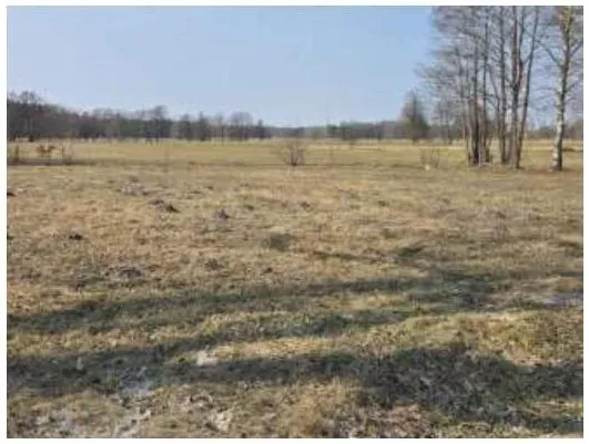 Działka 1 320,00 m², oferta nr , 45783/3186/OGS, Grądzkie
