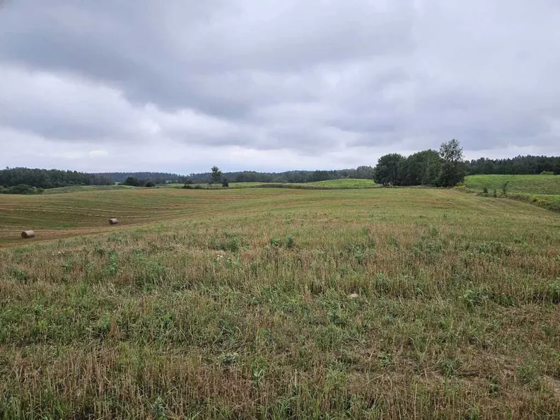 Działka 29 875,00 m², oferta nr , 45896/3186/OGS, Jora Wielka
