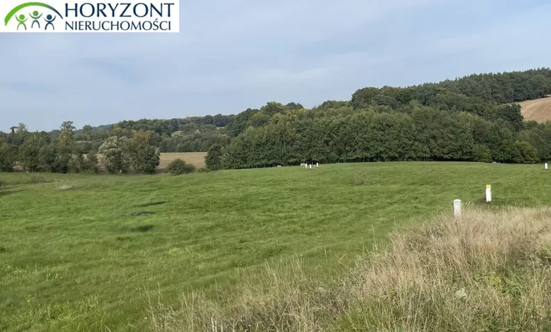 Działka 1 233,00 m², oferta nr , 45868/3186/OGS, Kczewo