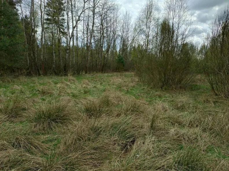 Działka 300,00 m², oferta nr , 44993/3186/OGS, Koniecpol