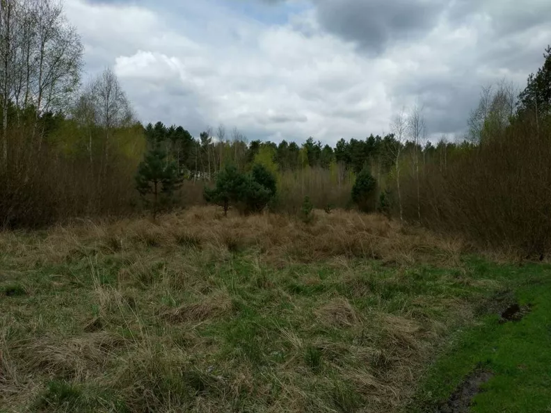 Działka 300,00 m², oferta nr , 45352/3186/OGS, Koniecpol