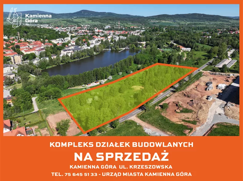 Działka 19 935,00 m², oferta nr , 45821/3186/OGS, Kamienna Góra, Leśna