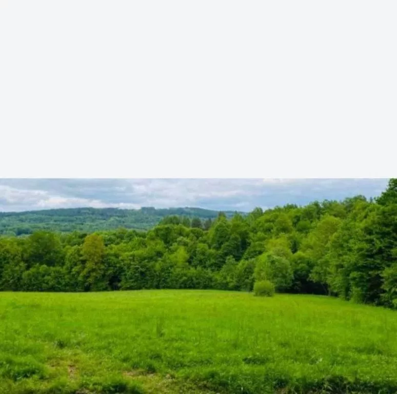 Działka 21 400,00 m², oferta nr , 45759/3186/OGS, Łobozew Górny