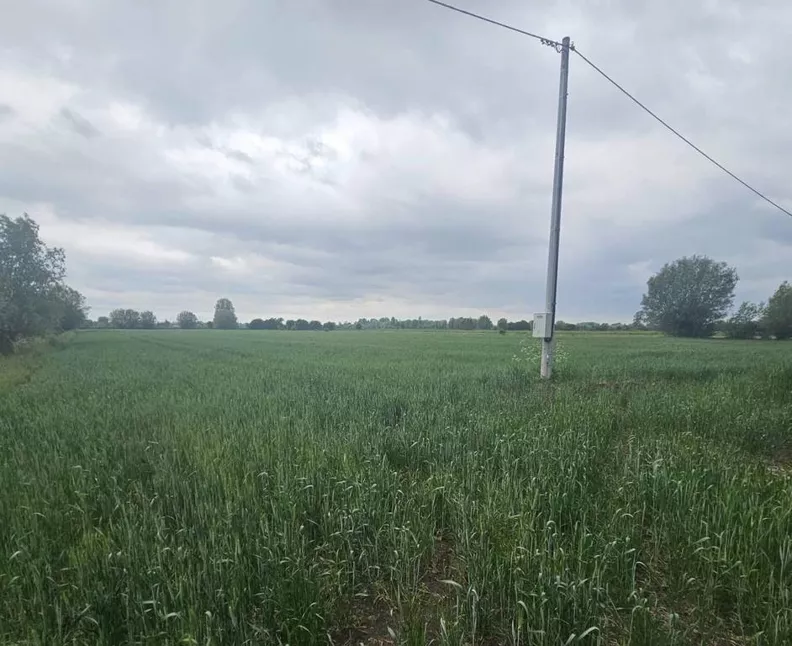 Działka 18 000,00 m², oferta nr , 45074/3186/OGS, Markusy
