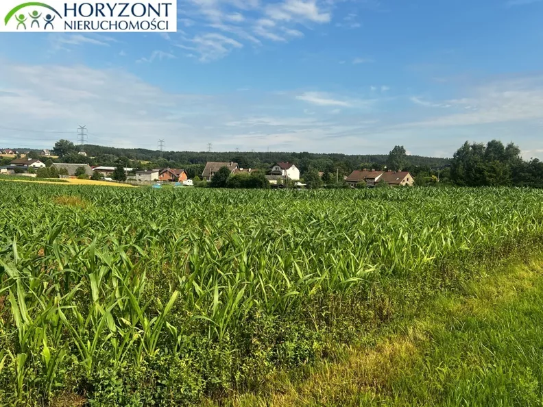 Działka 3 000,00 m², oferta nr , 45158/3186/OGS, Niestępowo
