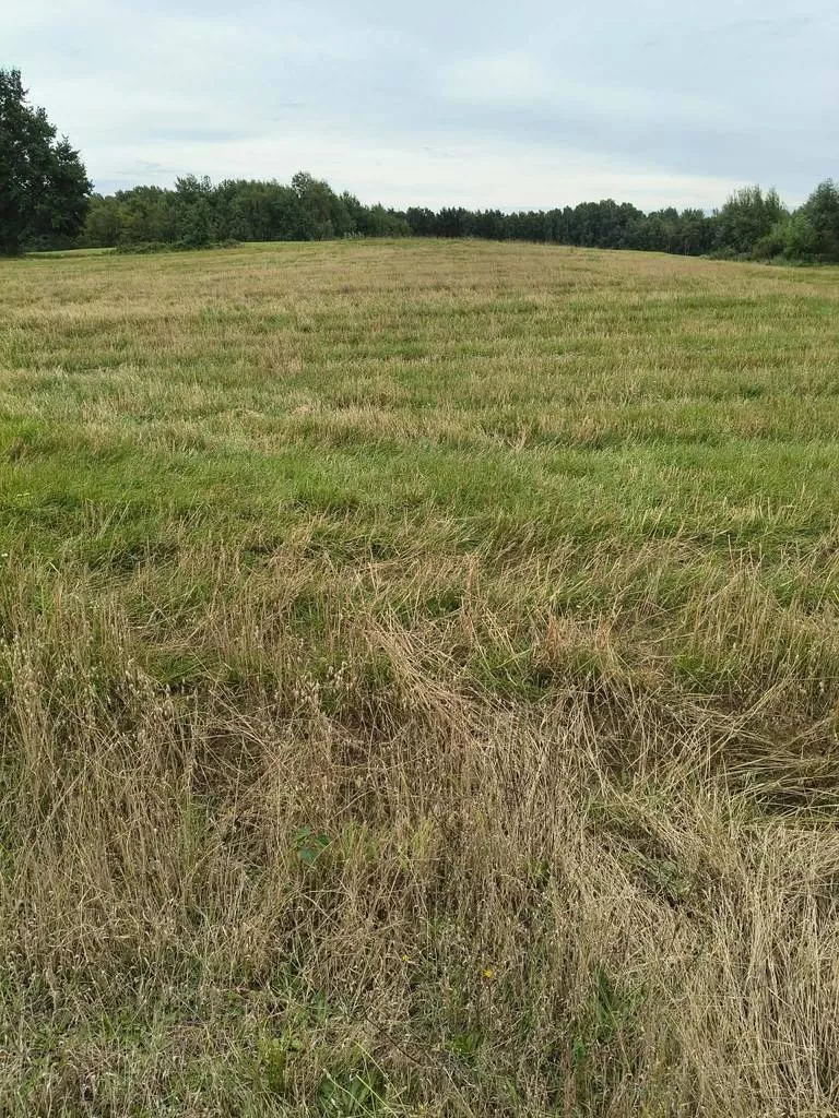 Działka 1 000,00 m², oferta nr , 45661/3186/OGS, Donimierz, Otalżyńska