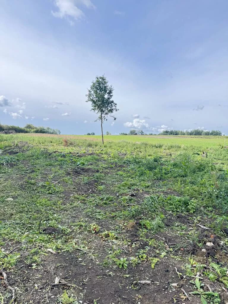 Działka 1 000,00 m², oferta nr , 46003/3186/OGS, Pokrzywnica
