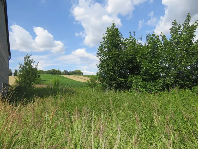 Działka 1 566,00 m², oferta nr , 45813/3186/OGS, Proszowice