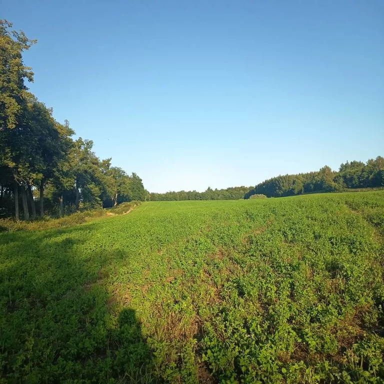 Działka 50 000,00 m², oferta nr , 45511/3186/OGS, Skowrony