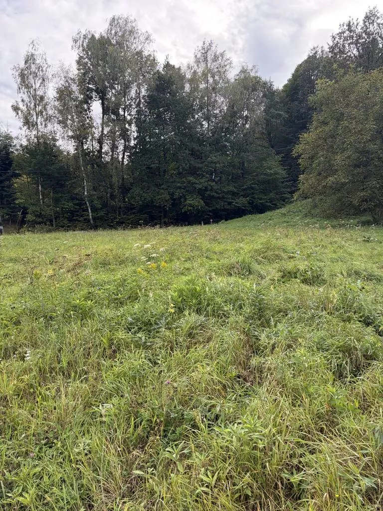 Działka 2 510,00 m², oferta nr , 45838/3186/OGS, Skrzyszów