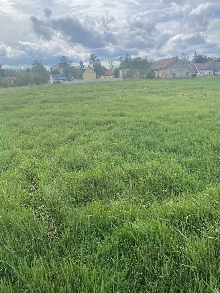 Działka 4 567,00 m², oferta nr , 44791/3186/OGS, Trzeboszowice