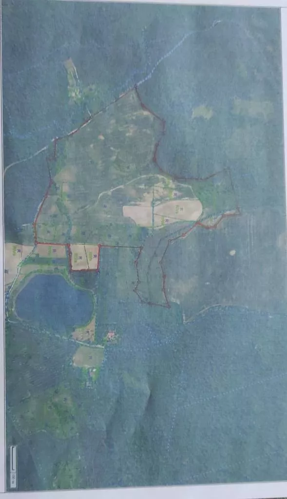 Działka 450 000,00 m², oferta nr , 45471/3186/OGS, Tulice