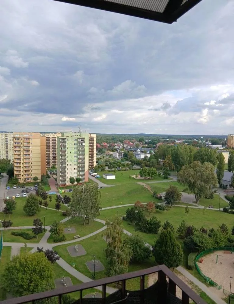 1 pokój, mieszkanie 21,00 m², piętro 11, oferta nr , 12779/3186/OMS, Bełchatów, osiedle Dolnośląskie