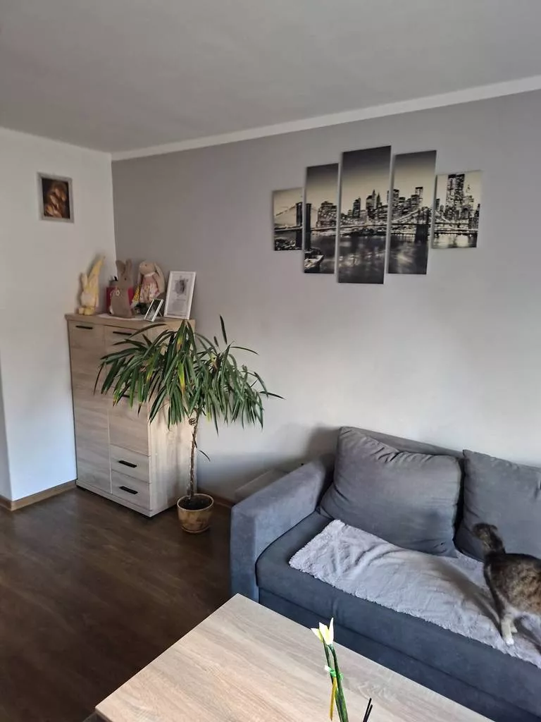 2 pokoje, mieszkanie 47,00 m², piętro 1, oferta nr , 12575/3186/OMS, Łazdoje