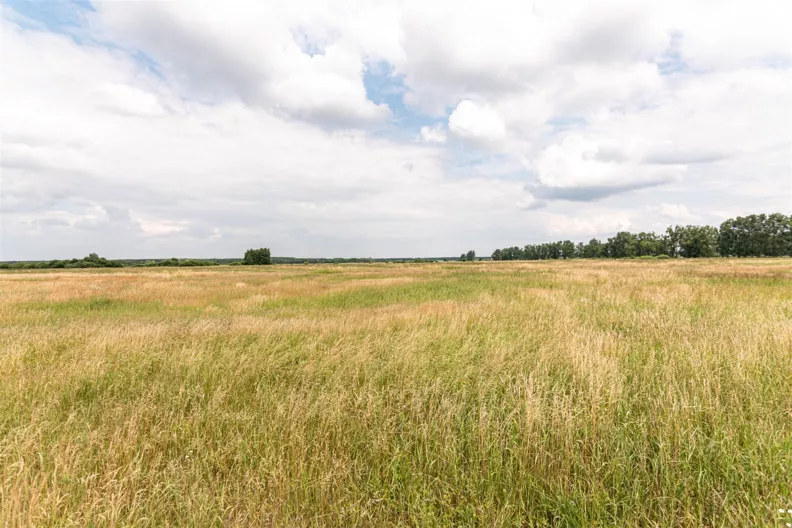 Działka 25 746,00 m², oferta nr , NGK-GS-542, Goleniów, Łąkowa