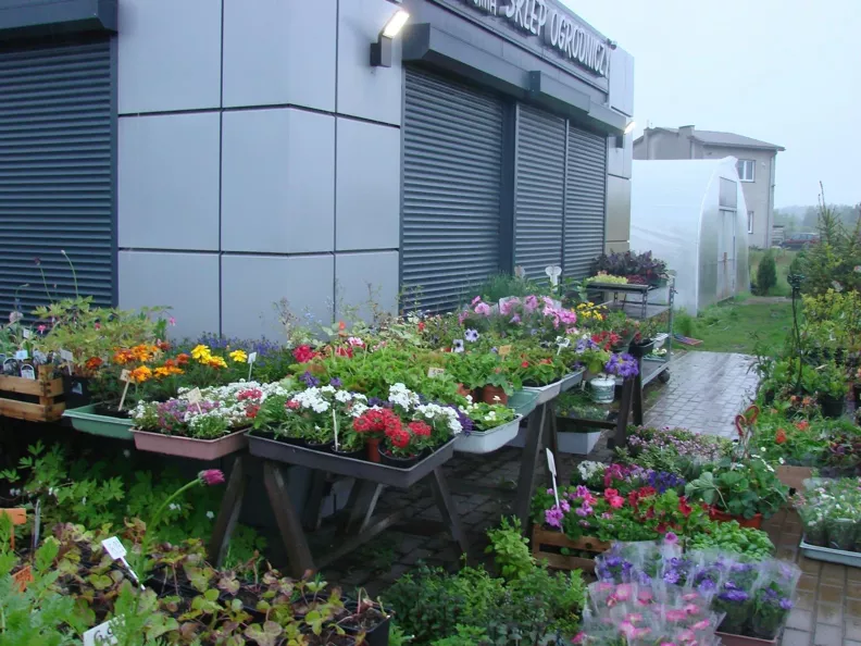 Lokal użytkowy 140,00 m², oferta nr , 21736, Miłoszyce, Przy Lesie