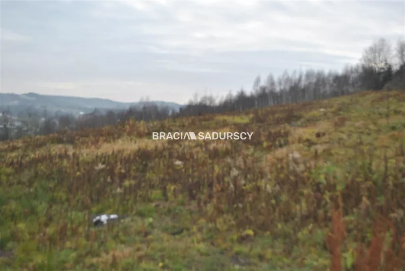 Działka 22 100,00 m², oferta nr , BS1-GS-312660-319, Myślenice
