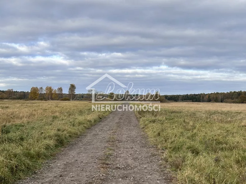 Działka 2 103,00 m², oferta nr , LOK21714, Niedźwiedź