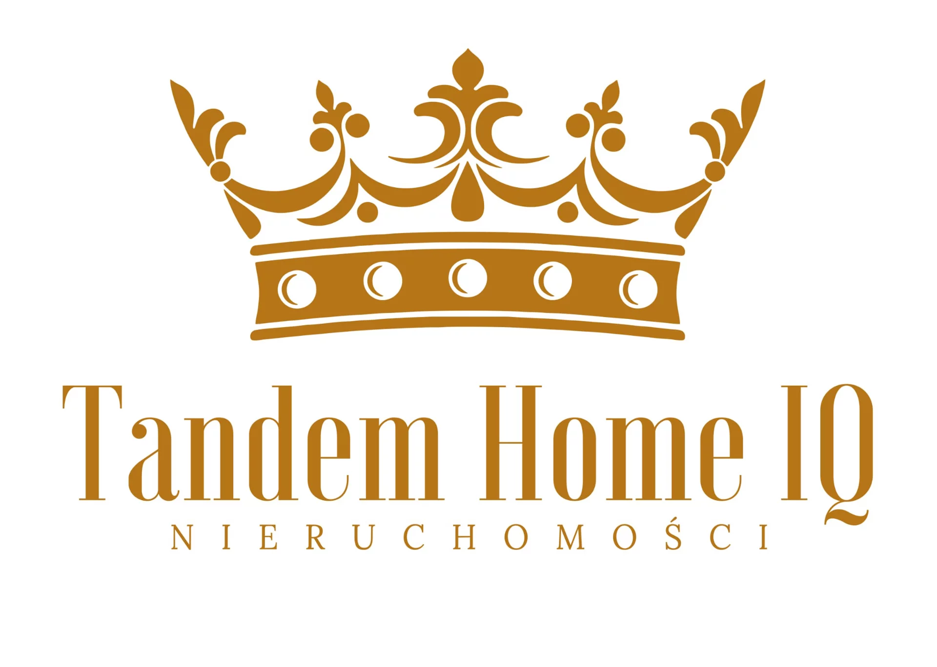 logo Tandem Home IQ Agencja Nieruchomości Komercyjnych