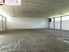 Magazyn do wynajęcia, 250,00 m², oferta nr 2/14328/OHW