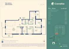 Mieszkanie, 132,87 m², 5 pokoi, piętro 2, oferta nr CV10-M-B10_M201