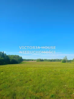 VIC-GS-1069 - zdjęcie nr 5