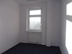 617 - zdjęcie nr 4