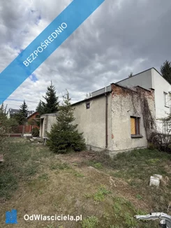 41429 - zdjęcie nr 3
