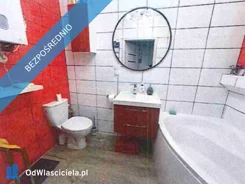 41379 - zdjęcie nr 1