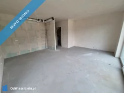 41197 - zdjęcie nr 3