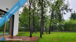 38476 - zdjęcie nr 1