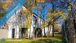38476 - zdjęcie nr 2