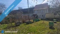 40937 - zdjęcie nr 3
