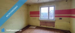 31139 - zdjęcie nr 3
